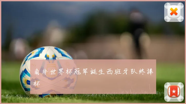 南非世界杯冠军诞生西班牙队终捧杯
